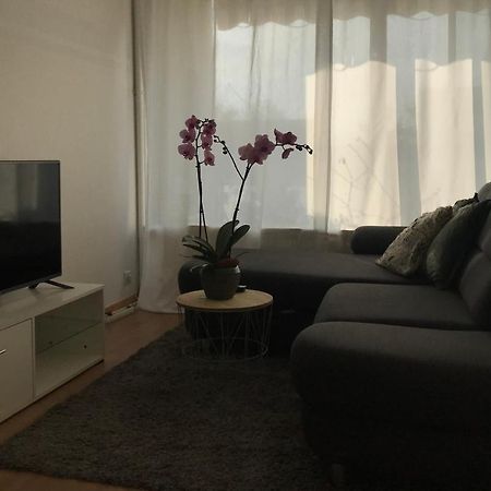 Bel Appartement Near Bale Mulhouse Airport Saint-Louis  Exteriör bild