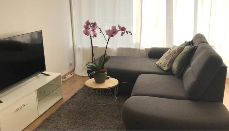 Bel Appartement Near Bale Mulhouse Airport Saint-Louis  Exteriör bild