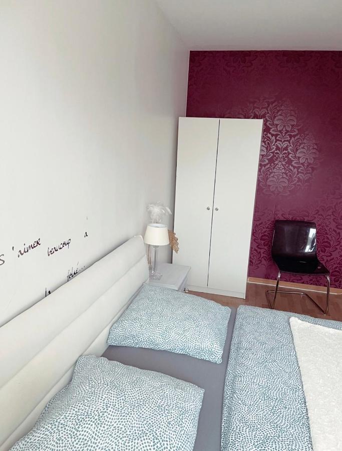 Bel Appartement Near Bale Mulhouse Airport Saint-Louis  Exteriör bild