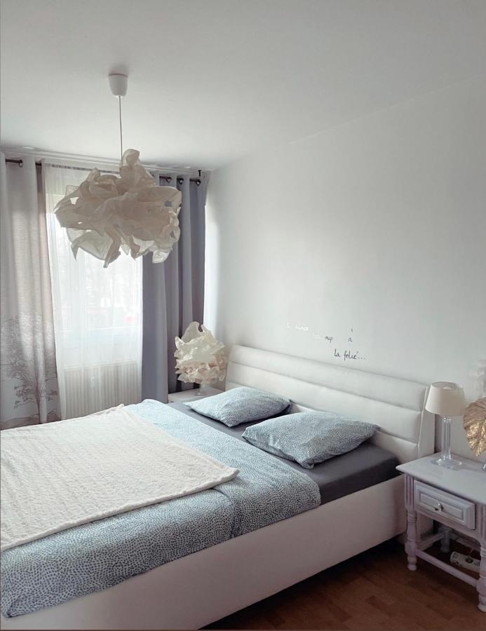 Bel Appartement Near Bale Mulhouse Airport Saint-Louis  Exteriör bild