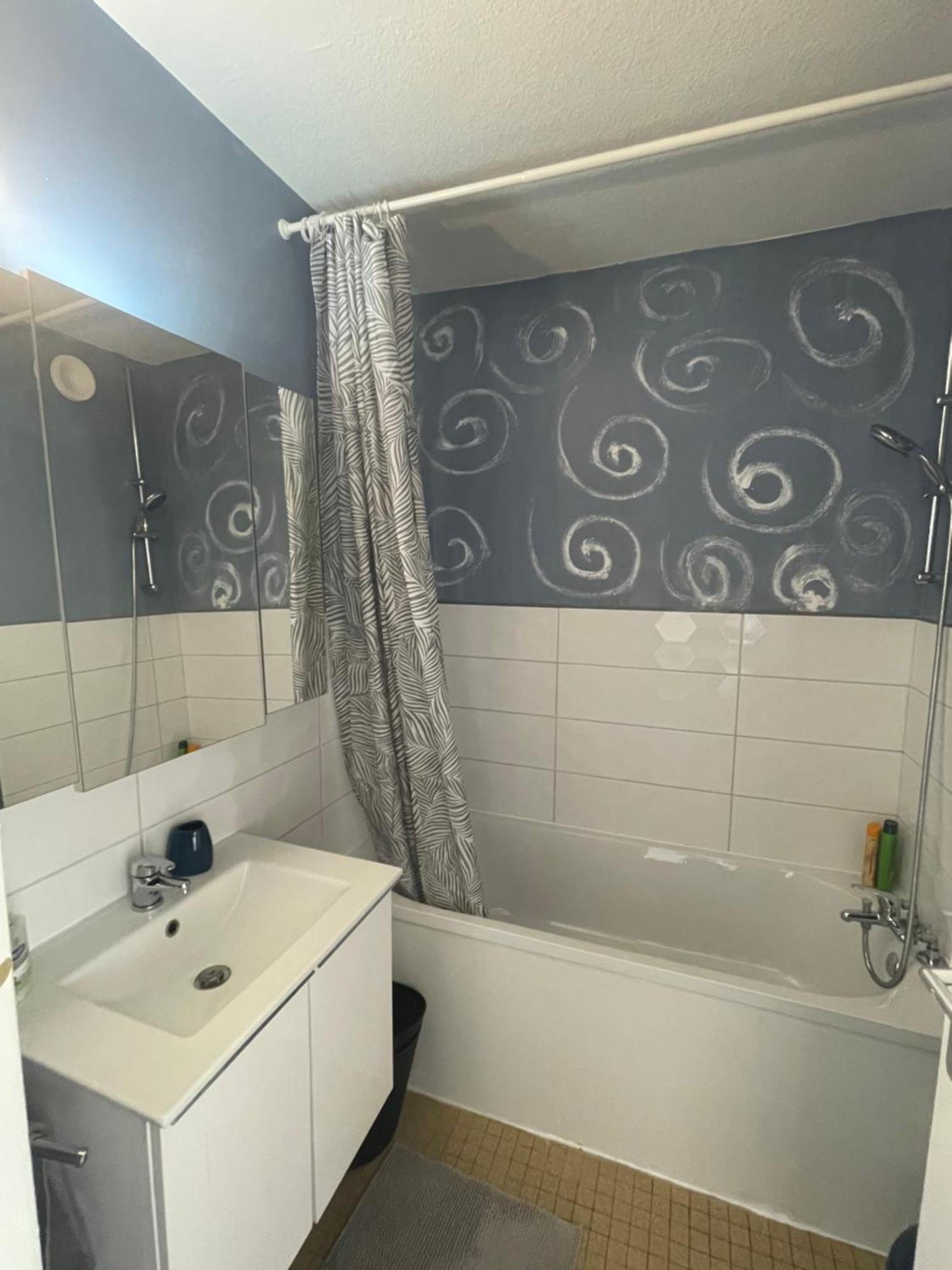 Bel Appartement Near Bale Mulhouse Airport Saint-Louis  Exteriör bild