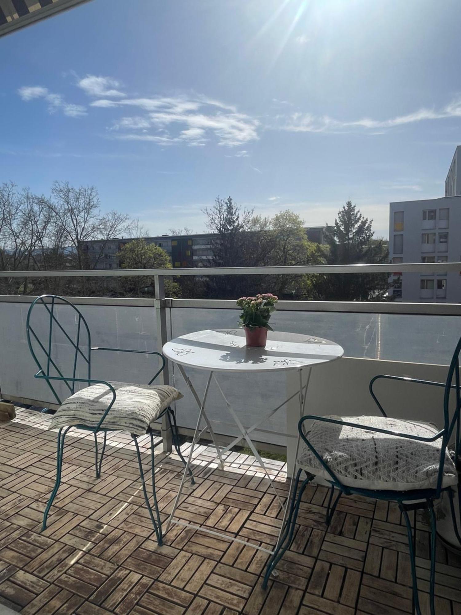 Bel Appartement Near Bale Mulhouse Airport Saint-Louis  Exteriör bild
