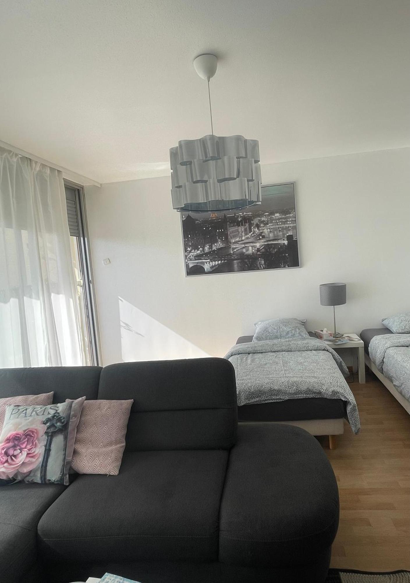 Bel Appartement Near Bale Mulhouse Airport Saint-Louis  Exteriör bild