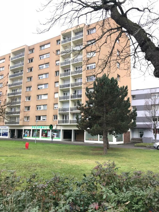 Bel Appartement Near Bale Mulhouse Airport Saint-Louis  Exteriör bild