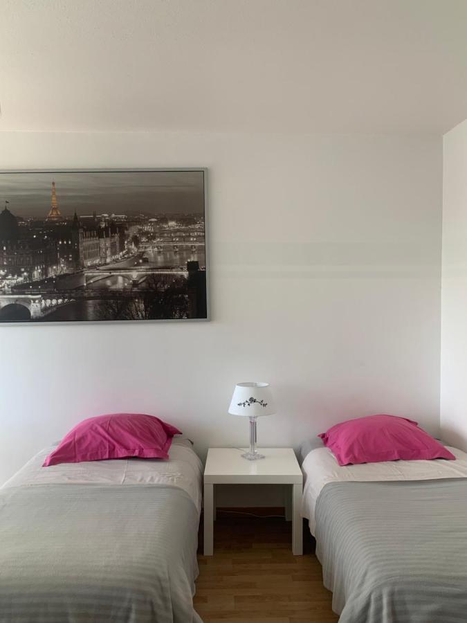 Bel Appartement Near Bale Mulhouse Airport Saint-Louis  Exteriör bild